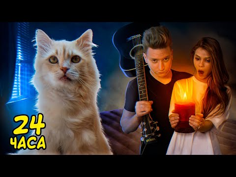 Видео: 24 часа с рыжим котом моими глазами / SANI vlog