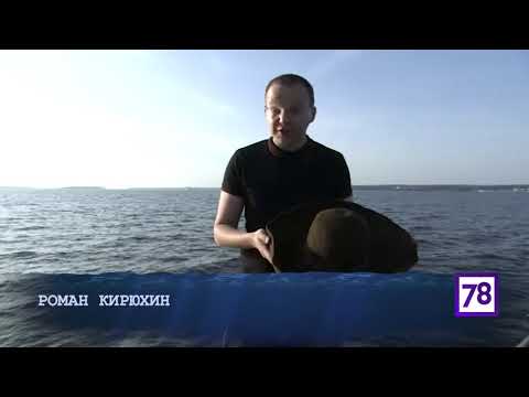 Видео: КОНТРАБАНДА Подводный роман #ПодводныйРоман #археология #ЦПИ #коп #раскоп #underwater #РГО