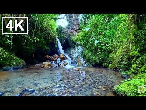 Видео: Успокаивающий водопад и птицы на природе | Умиротворяющая атмосфера для внутреннего покоя, ASMR