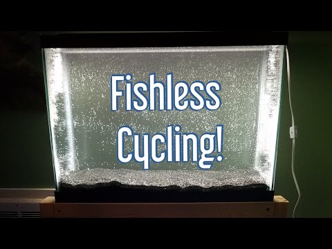 Видео: Аквариумный цикл без рыб