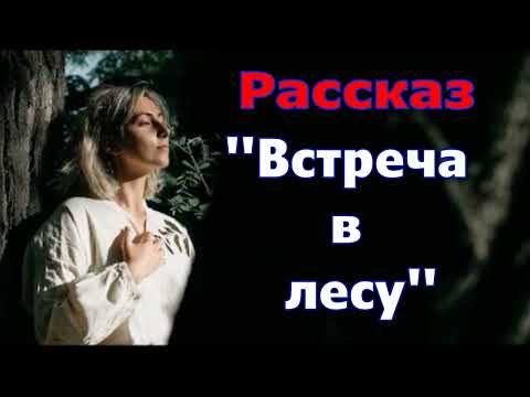 Видео: Рассказ и стихотворение Светланы Тимохиной "Встреча в лесу", читает автор.