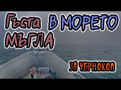 Видео: Риболов на Чернокоп 2022 с метален джиг и чепаре