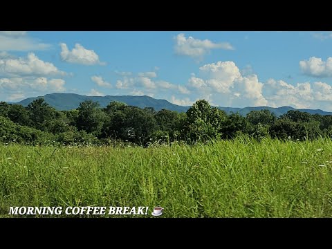Видео: Утренний кофе-брейк! ☕️ Всем привет! 🌞 Шутки дня! 🤣 Время викторин! 🤔 Мысль дня! 🙄
