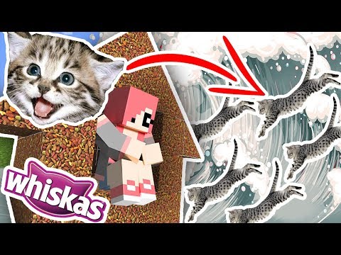 Видео: ЦУНАМИ ИЗ КОШЕК ПРОТИВ ДОМА ИЗ ВИСКАС В МАЙНКРАФТ