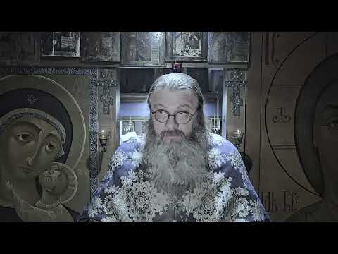 Видео: 23 01 2025  Благочестивое безумие  #протоиерейСергийБаранов