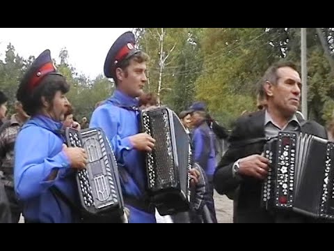 Видео: Играй, гармонь, на Верхнем Дону! Часть 2