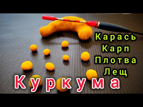 Видео: Тесто  на Карася ,Плотву ,Карпа Леща! Насадка из Крукумы!