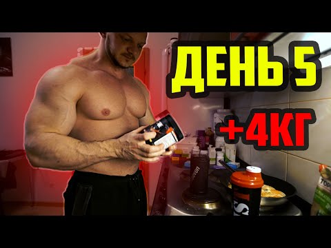 Видео: Духота Наследие День 5 - Подготовка к тренировке Плечи + Ноги