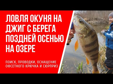 Видео: Ловля окуня на джиг с берега поздней осенью на озере