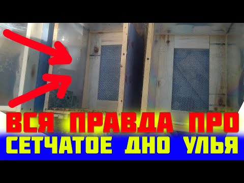 Видео: Сетчатое дно улья за и против. Плюса и минуса ульев из сетчатыми доньями