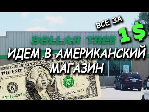 Видео: #13 Dollar Tree -  все по 1 доллару! Идем в американский магазин!
