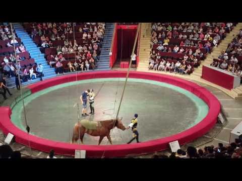 Видео: Цирк Алматы часть #3, ржака, штаны потеряли. Аишка в цирке