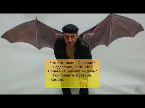 Видео: Доверие. Удовиченко [краткий учебный курс]