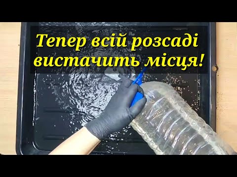 Видео: Чудо - піддони  врятували розсадний сезон!