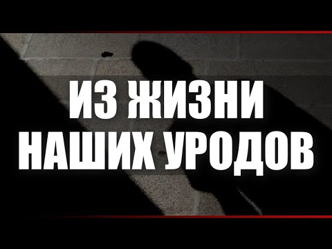Видео: Из жизни наших уродов