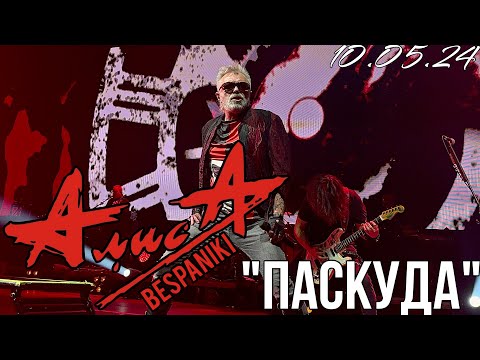 Видео: 10.05.24 - АлисА - "Паскуда" - Чёрная метка ХХХ лет