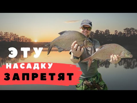 Видео: Лещ на фидер: секретная насадка, которая сделают ваш улов рекордным!