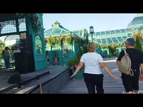 Видео: Посетила Медовую ярмарку. Купила прекрасный 🍯💊🍯🍯🍯🍯мёд. 