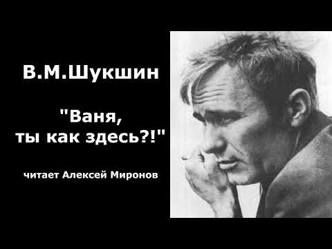 Видео: Василий Шукшин. "Ваня ты как здесь?!"