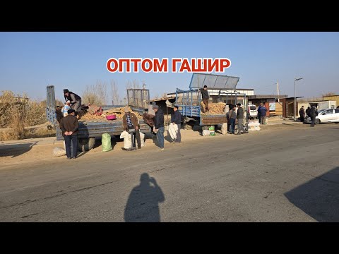 Видео: 19 ноября 2025 ЭЛЛИККАЛА КИРККИЗОБОД ДЕХКОН БОЗОР