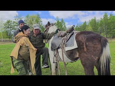 Видео: Ампаардаах алааһын 3 чааһа