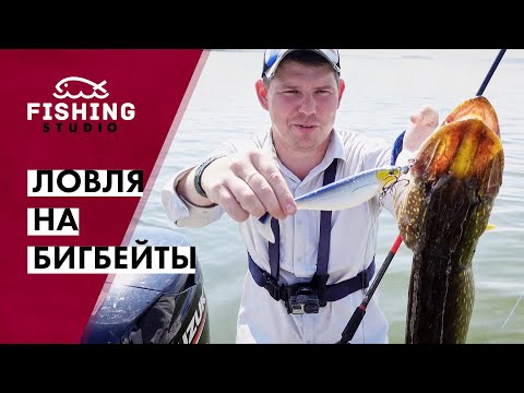 Видео: Ловим щуку на крупный силикон! Как и чем ловить на свимбейты? | ВихровLIFE