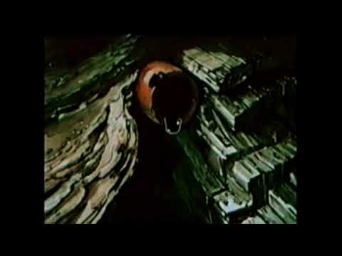 Видео: Рэтро Мультфильмы 