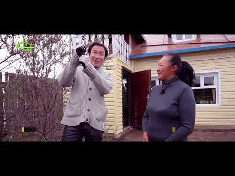 Видео: Дулаалга аян нэвтрүүлэг 7-р хэсэг