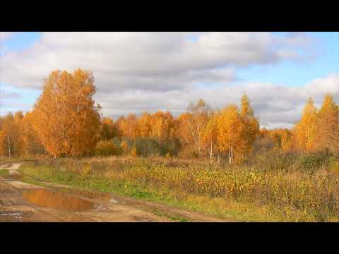 Видео: Загородная прогулка 8 2019 2021 годы 117 папка  2