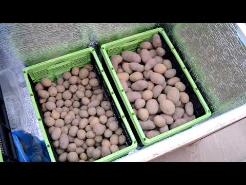 Видео: Овощной ящик для балкона