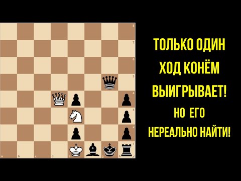 Видео: Можешь ли ты найти этот невероятный мат? Неожиданный ход конём!
