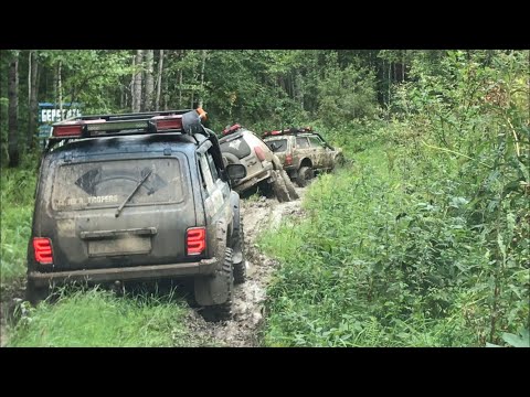 Видео: Таёжный Зов 2020 экспедиция 4х4