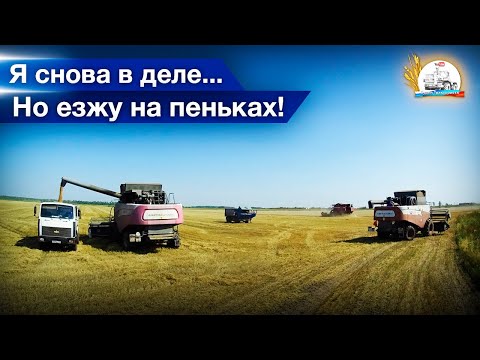 Видео: Подо мной на МАЗе лопается не только балка...) Молотят ячмень два ПАЛЕССЕ и два АКРОСа.