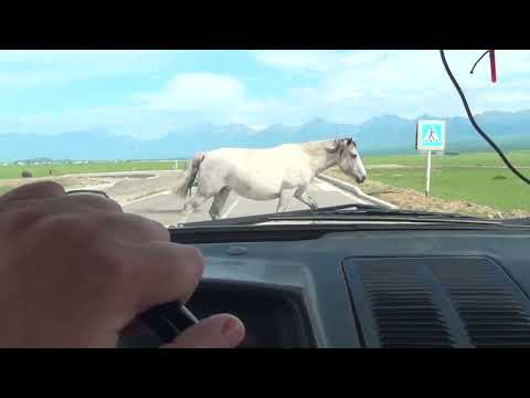 Видео: Путешествие на машине на Байкал. Едем на Москвиче. Часть 4. Иркутск - Аршан. Река Кынгарга. Водопад