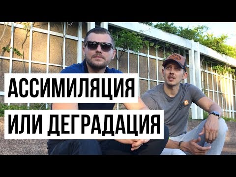 Видео: АССИМИЛЯЦИЯ ИЛИ ДЕГРАДАЦИЯ. Проблемы иммиграции в Новой Зеландии.