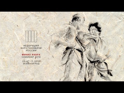 Видео: Mikio Yahara: Seminar in Mosocw 2016. Микио Яхара: семинар в Москве 2016.