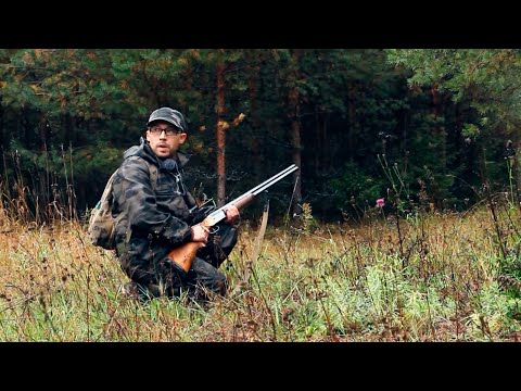 Видео: Охотничий инстинкт: Заяц с гончими. Сентябрьская грязь и глухая тайга