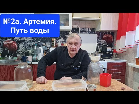 Видео: 2a. Ещё раз про артемию / Аквариумистика с Геннадием Посейдонычем