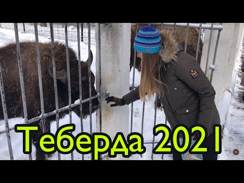 Видео: Теберда 2021,Отель,Цены/Заповедник  Тебердинский/Отдых в Теберде