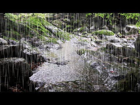 Видео: Засыпайте за 3 минуты. Естественные звуки дождя для более быстрого засыпания и душевного спокойствия