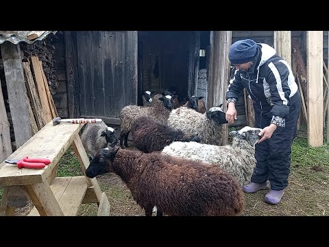 Видео: Хутор в Беларуси, Мир, Доброта, Любовь, Спокойствие...