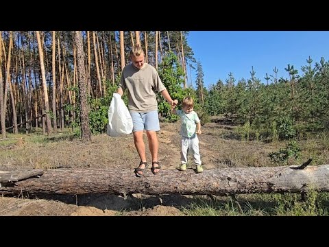 Видео: Сходили по грибы, что нашли?