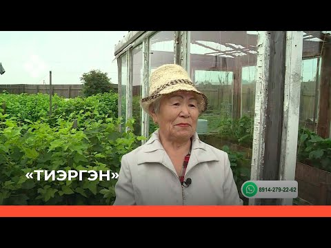 Видео: «Тиэргэн» (16.07.21)