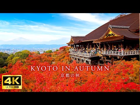 Видео: 【4K Япония】Красивый осенний Киото | Прогуляйтесь по 8 популярным местам для осенних листьев
