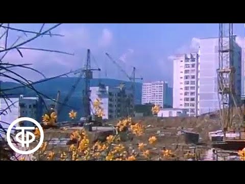 Видео: Это - Сочи! (1984)