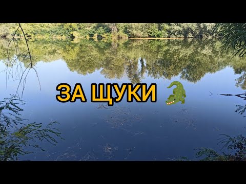 Видео: СПИНИНГ РИБОЛОВ НА ЩУКА 🐊