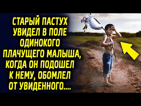 Видео: Старый пастух увидел в поле мальчишку, когда он подошел к нему, обомлел от увиденного…
