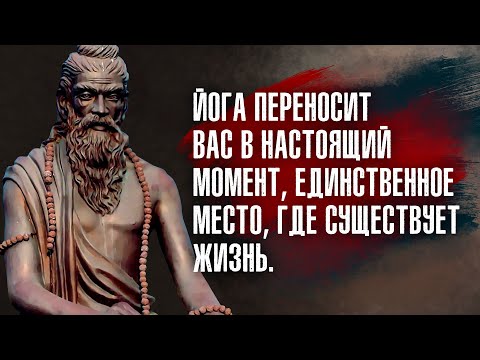 Видео: Патанджали - Все, что мы знаем, есть наша умственная реакция на внешние воздействия.