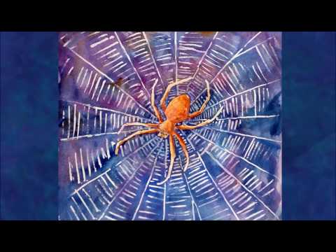 Видео: Тотем паука: духовное значение паука