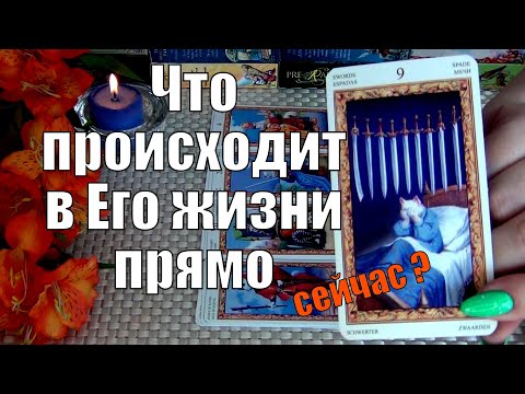 Видео: 🩵ЧТО ПРОИСХОДИТ В ЕГО ЖИЗНИ ПРЯМО СЕЙЧАС? 🍀♥️ Гадание Таро